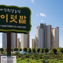 솔이농장 한겨레