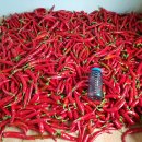 백헌농장 이미지