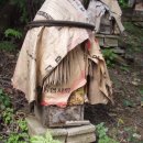 양심농장 이미지