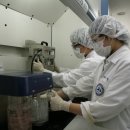 한국바이오 이미지