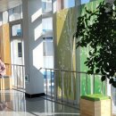 행복한 꿈을 꾸는  이미지