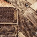 하나3농 이미지