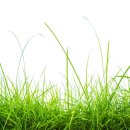 튼튼체육관 이미지