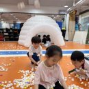 마린 키즈 태권도 이미지