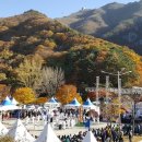 '찾아가는 제22회 밀양얼음골 사과축제' 30일 부산에서 개막 이미지