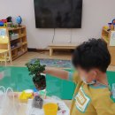 송화초등학교 병설유치원 이미지