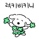 댕냥잇츠 이미지