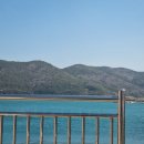 나그미커피 | 거제가볼만한곳| 거제 외도 보타니아 해금강 유람선 여행후기 (26.03.07방문)