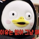 찜나라 이미지