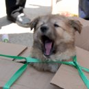 양양5일장 이미지