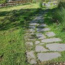 POP&캘리그라피 주간 이미지