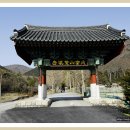 천연기념물인 상록수림으로 유명한 진도 첨찰산 쌍계사