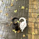 (유)우진택시 | 그 얼굴 위에 내려앉아 녹은 해는 주홍빛 볼이 됐어