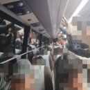 오동곡 | [후기] 아시안 팝 페스티벌 1일차 - 노파티포차오동