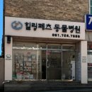 힐링동물병원 | 기장 힐링페츠 동물병원 내돈내산 후기 (고양이눈병)