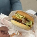 노브랜드 버거 솔직후기 🍔 기대했지만 아쉬웠던 경험