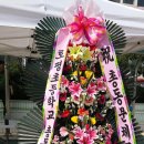 내양초등학교 이미지