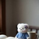 물망초인형 네이버블로그
