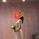 드레스젠