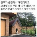 부자집 Daum카페