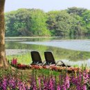 봉평별빛 이미지