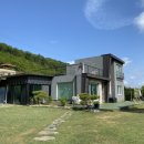 도그 앤 조이 이미지