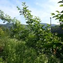 조아농장 이미지