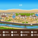 영덕 고래불 국민 야영장 네이버블로그