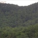 울진군울진읍신림보건진료소 네이버블로그