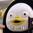 스시오케이 네이버블로그