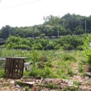 내곡동451 이미지