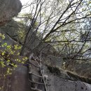 화명정수장 옆 | 금정산, 화명정수장-화산-약수사