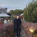 남자 코트 후기 지오송지오 타임리스 투버튼 싱글코트