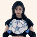 (주)적도 이미지