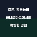 영동농협하나로마트 티스토리