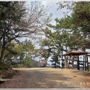 백양산임도(2) 이미지