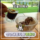 달려온카페 | [청양카페] 통창 뷰에 반하고 온 칠갑저수지 대형 카페 ‘콩매아’후기 (아포가토, 초코케이크)