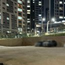 레파스 베이커스 본점 이미지