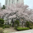 불정어린이공원 네이버블로그