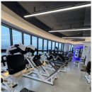 나만의 GYM 이미지