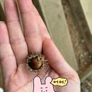 임학공원(임학정) | 주말등산하기 좋은 인천 계양산 등산코스 둘레길코스 &amp; 무료 공영주차장 후기