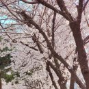 모현주공2단지아파트 이미지