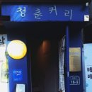 청춘커리 이미지