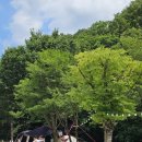 산정호수맑은물캠핑장 이미지
