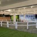 대덕승마장 이미지