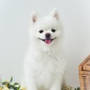 스튜디오브릿 이미지