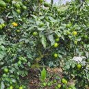 토산농장 이미지