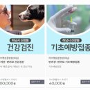 미사마이펫동물병원 이미지