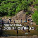 대구 가볼만한곳 화원자연휴양림, 아이와 가기 좋은 얕은 계곡 추천