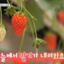 정우농장 이미지